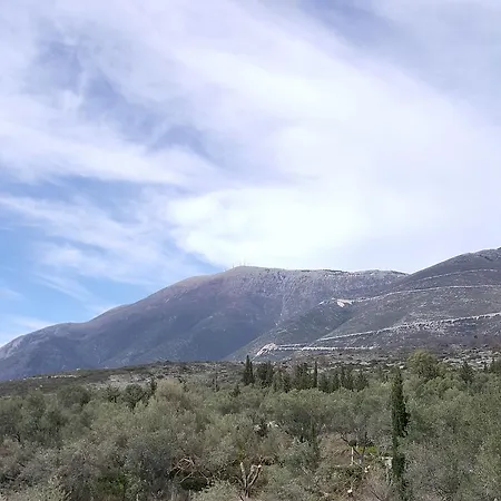 Sarajet E Pashait 2 4*